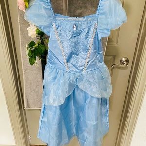 Princess blue dress. Perfect for Halloween . Never been used . Brand new .